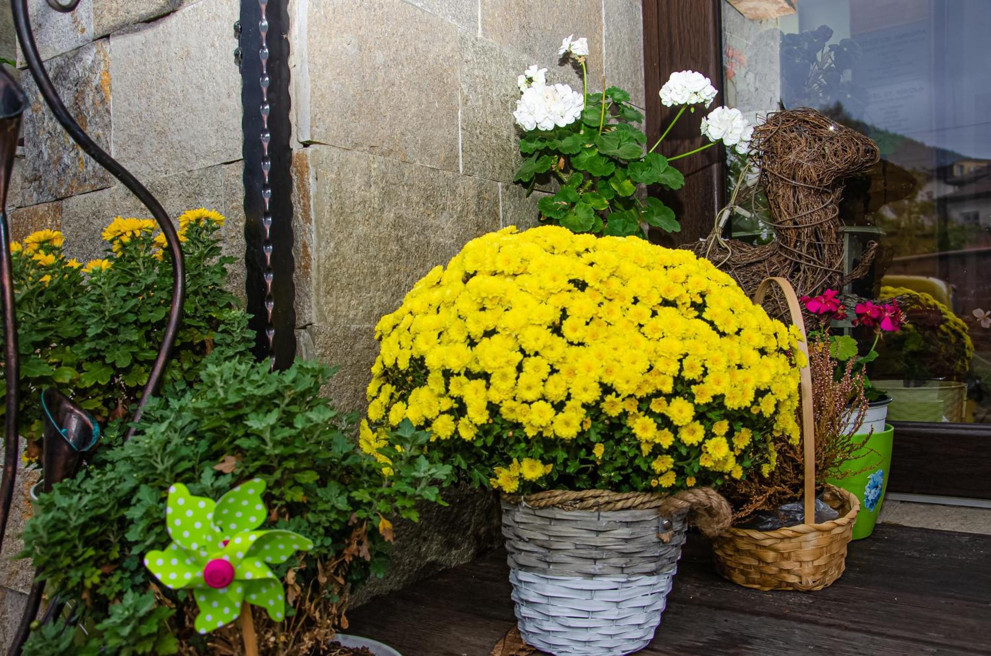 Sveti Nikola Family Hotel Sapareva Banya ภายนอก รูปภาพ
